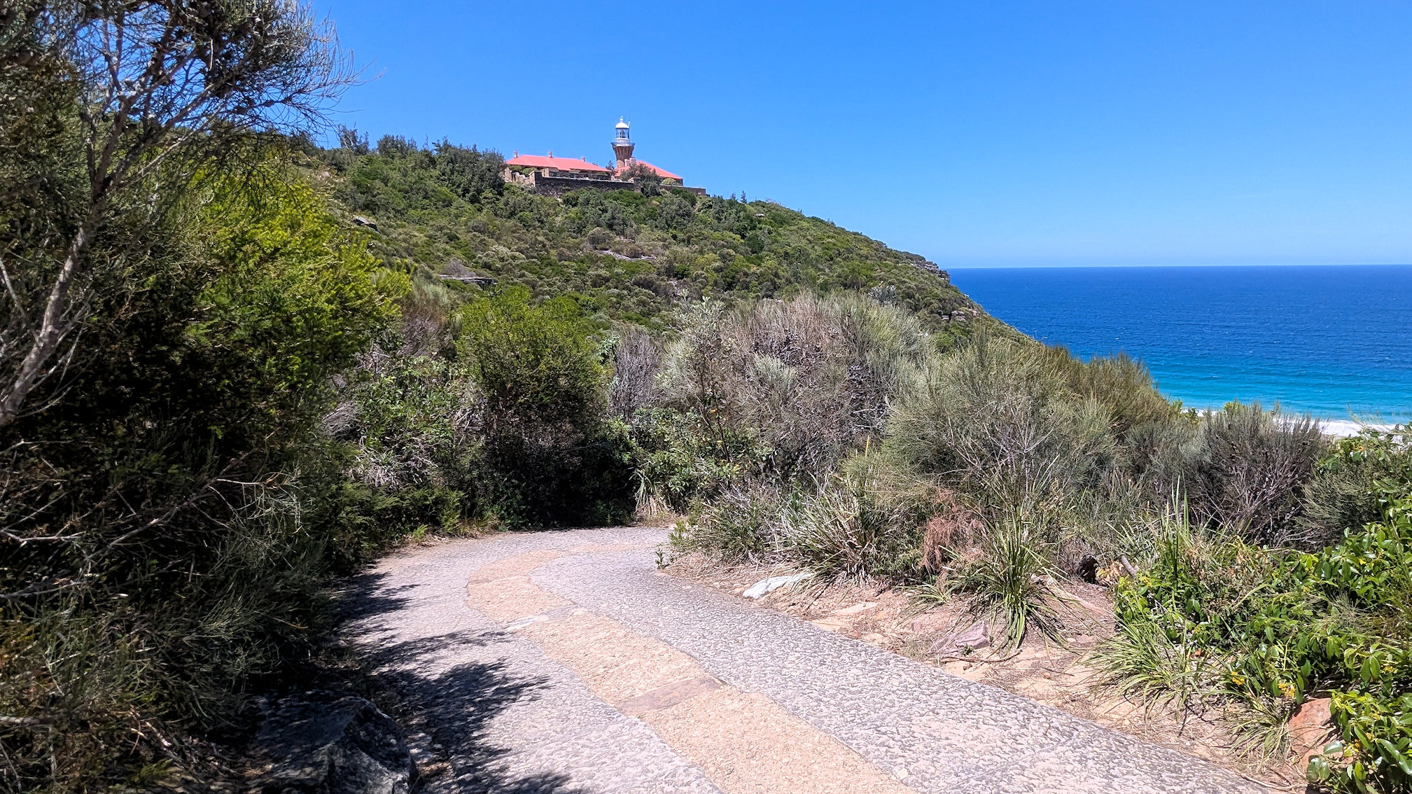 barrenjoey track (11)